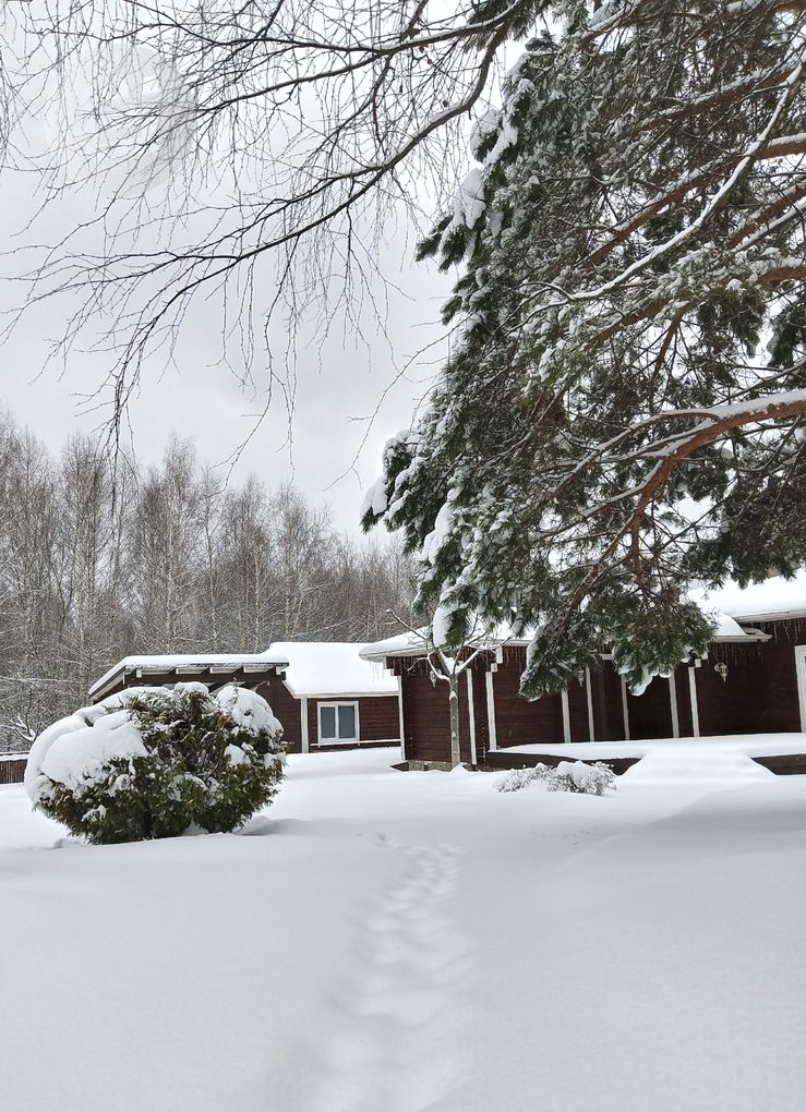 Потепление и обильные снегопады придут в Удмуртию на этой неделе