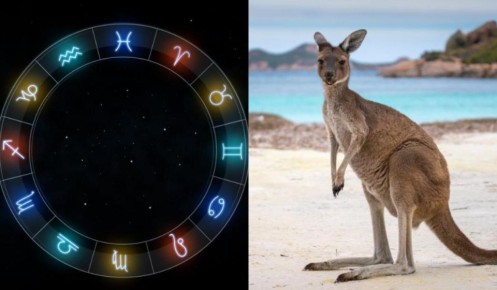 ����� ����� �������� ������������� ������ ����� �������