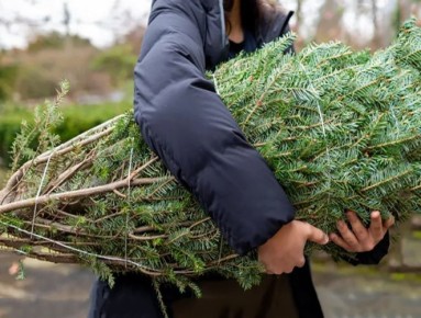 ��� ���������� �������� ������� �� ���������� �����