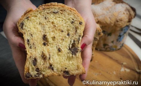 Панеттоне за один замес: мягкость облака и простой подход