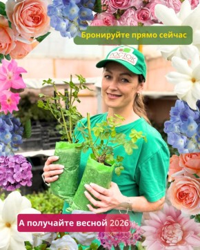 �������� ���������� � ������: ��� ������������� � ������, ����� �� ����������� ������