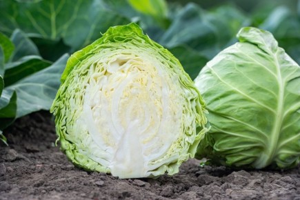 ��������� ������� �� ������ ����: ������� ��� ����� �������