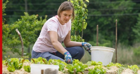 ����� ������� �� ����: ��� ��������� � ��� ����� ��� �������