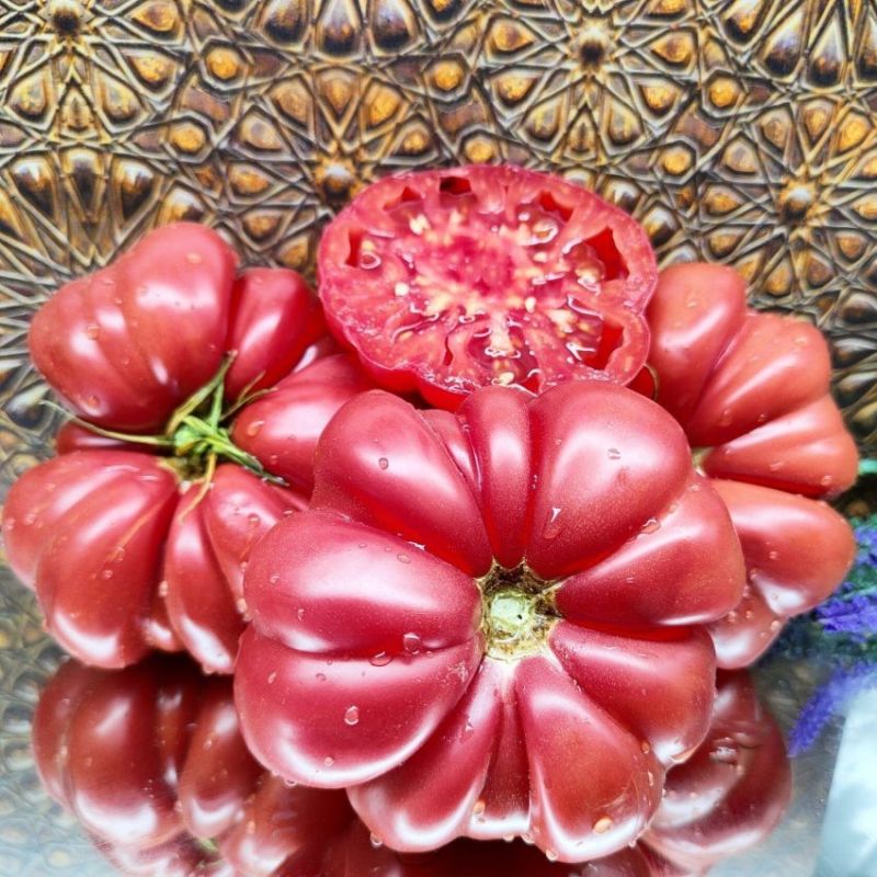 Томат Американский ребристый: как вырастить крупные плоды необычной формы