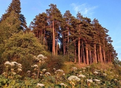 � �������� ��������� ������ ������� ���������� ��������