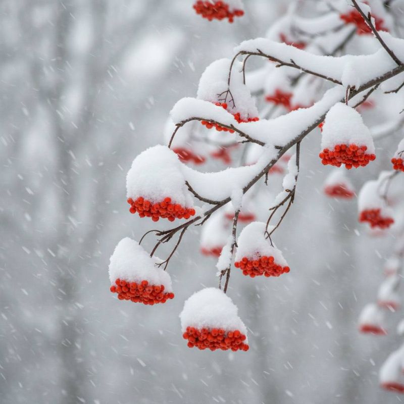 29 января в Ижевске ожидается сильный снег