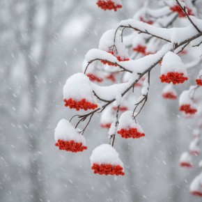 29 января в Ижевске ожидается сильный снег