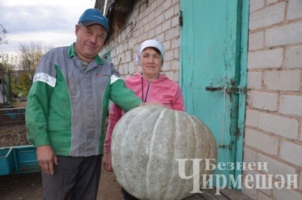 ����� �����: ��� ���������� ����� ����� ������ ������� ����� � ������������ �����