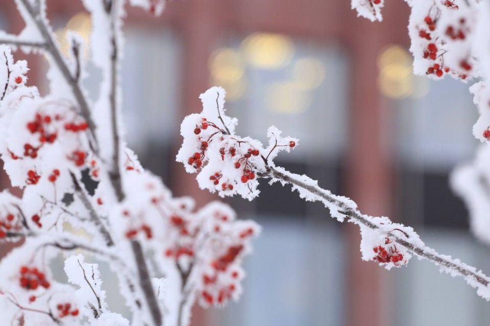 Ночью и днем 30 января Ижевск вновь накроет снежная пелена