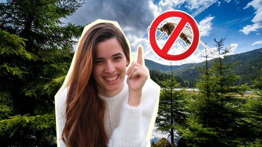 Комариные укусы будут не страшны: легко избавитесь от зуда без специального средства