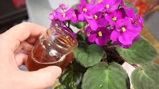 ��� ��������� �������� �������� � ������ ������: �������� ������