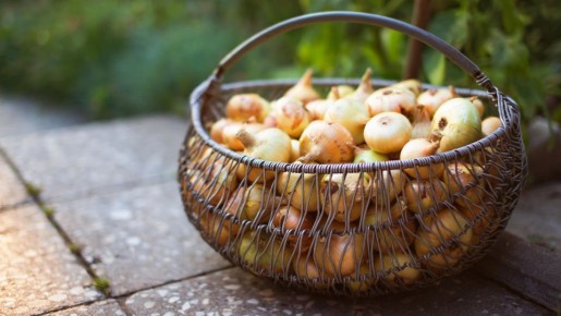 ��� ��������� ��� ���� ����������: �� ������ ������ �� ��� � 99 ������� �� 100