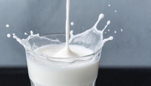 В Удмуртии рассказали о состоянии молочного рынка в регионе после падения цен на сырое молоко