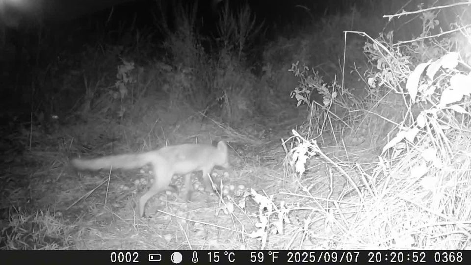 ������� ��������� ����� ����� ������ ����-������� �������� ������ � � ����������