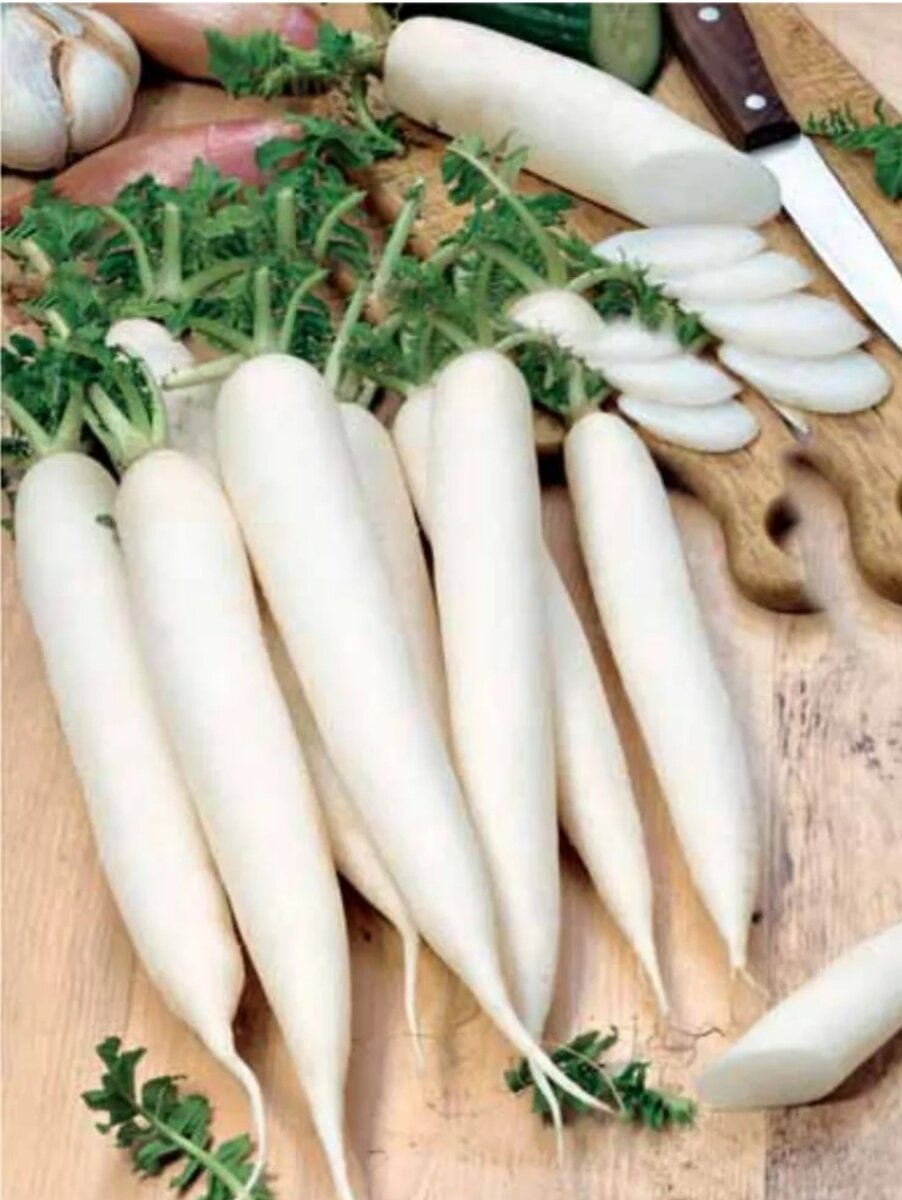 Дайкон: от посева до вкусного урожая — как вырастить сочный корнеплод