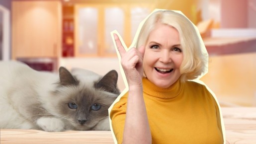 ��� ������� � ������: ��� ������ ������� ���� ������ �� �������� ����