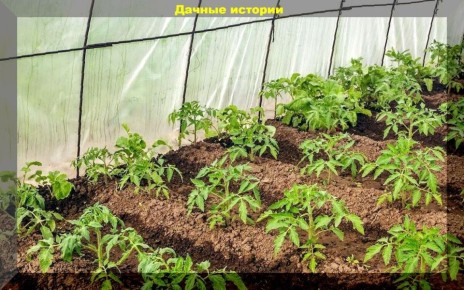 ������: ��������� ����� � ������ �� �������� ����������� �������