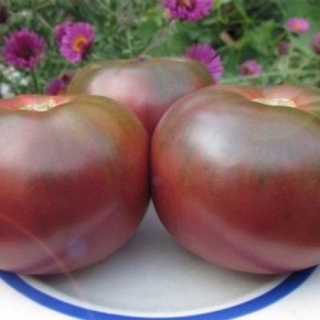 ����� ������: ��������� ����� ��� ��������� ��������