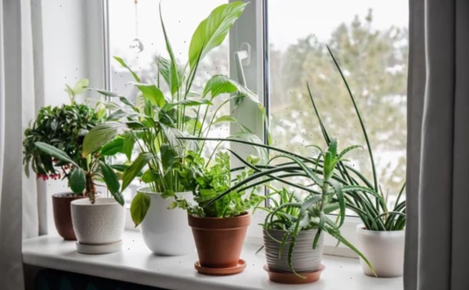 ��� ���������� �� ������ ������ ����� � ��������� ��������� �����