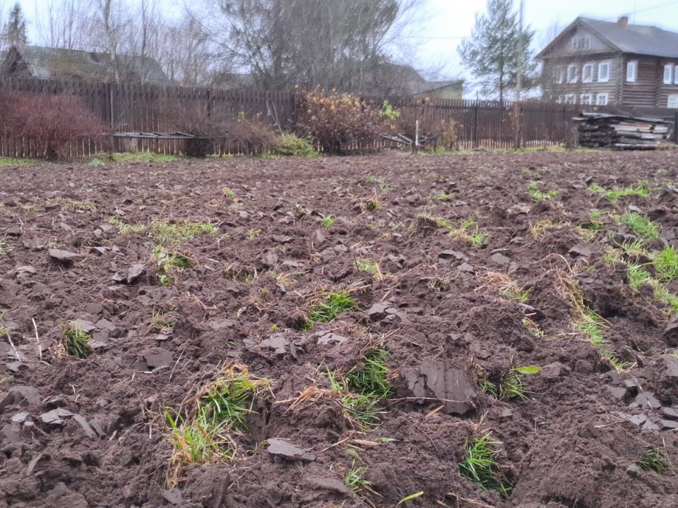 Как осенняя вспашка огорода готовит почву к зиме