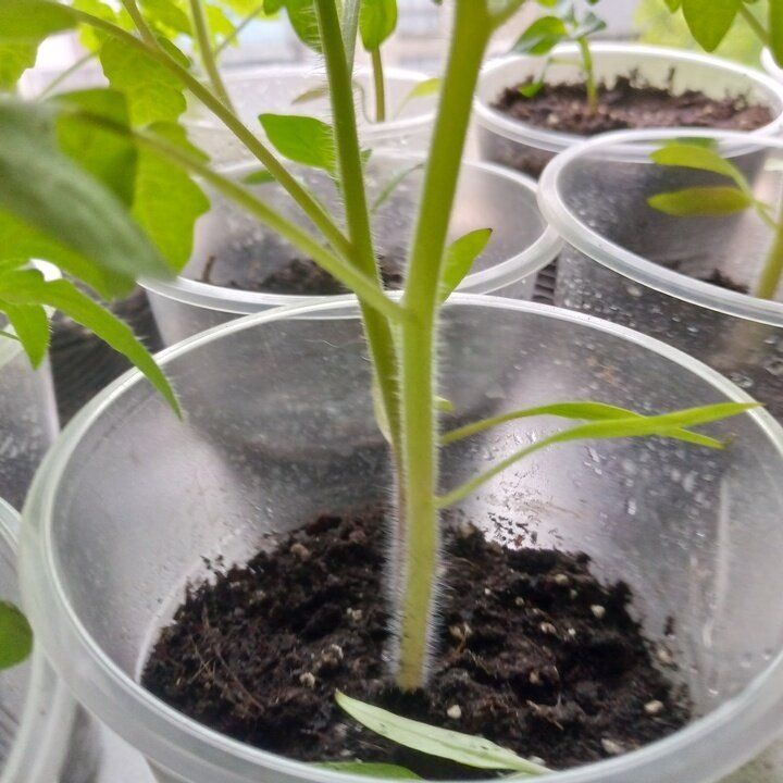 ���� � ����� �������: ��� ��� ����������?