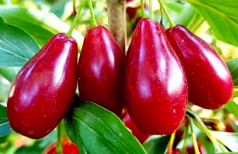 �����: ������������ ����� ��� ������ ��������