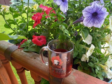 ������ ����� ��������� �������� ����������: �������� ���������� ��������� ��������