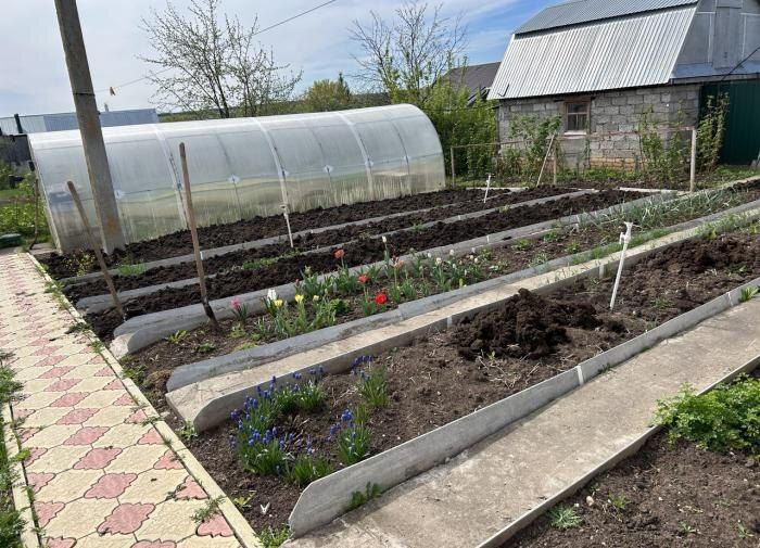 Как листвой обогатить огород: простые советы для успешного выращивания