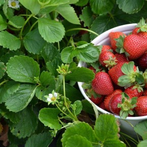 ��� ��������� ������������ �������� ��� ������������ ������