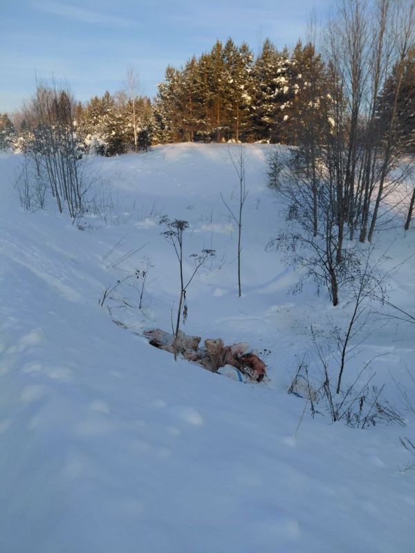 � ���������� ������ �������� ���������� ����� ������ ������ ������� �� ���� �����