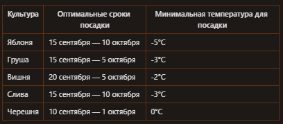 Секреты успешной осенней посадки плодовых деревьев