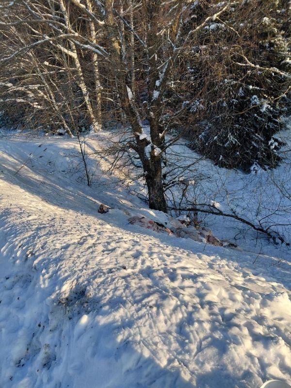 � ���������� ������ �������� ���������� ����� ������ ������ ������� �� ���� �����