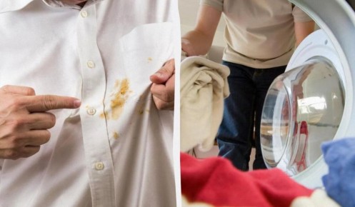 �������� ��� ����� ������: ��� ������� ������� ����� ����� ������� ���������