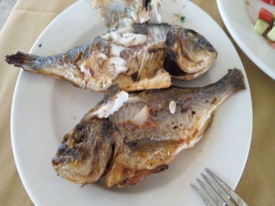 ������ ���� ���� ������������ � ����: ���� ������, ������� ��������� 99% ������