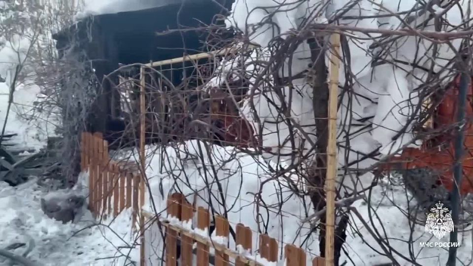 6 февраля в ижевском СНТ «Рассвет» произошёл пожар, пострадал мужчина