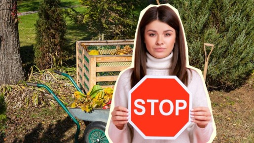 �� ����� ������ ��� ������ � ���������� ����: ������� � �������� �� ���������