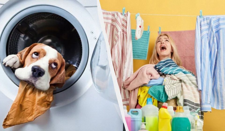 ������ ��� �������: 10 �����, ������� ����� �� �������� ������