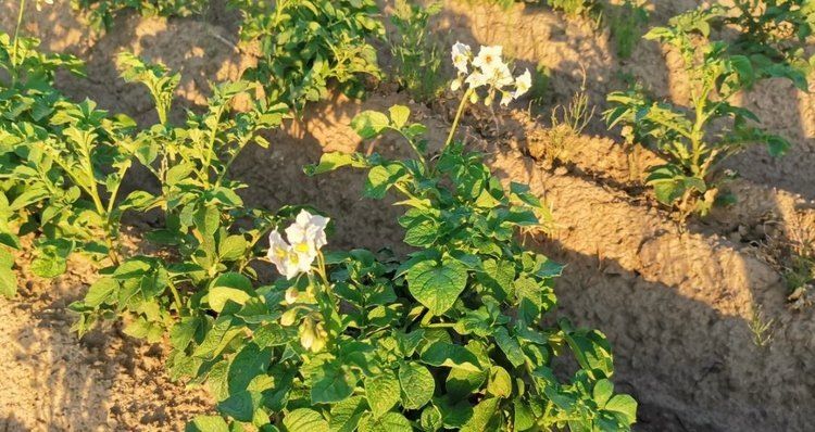 ������ � ������������ ��������� ������ ��������: �������� ������������ ���������� �������