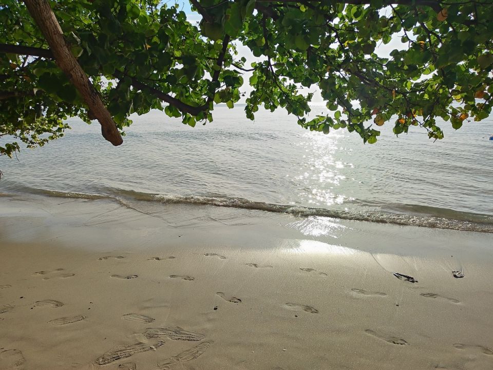 ������� �� ������� ����: ������� ����� � ������� ������ �������������