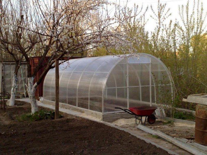 Как правильно подготовить теплицу к зиме: полезные советы для садоводов
