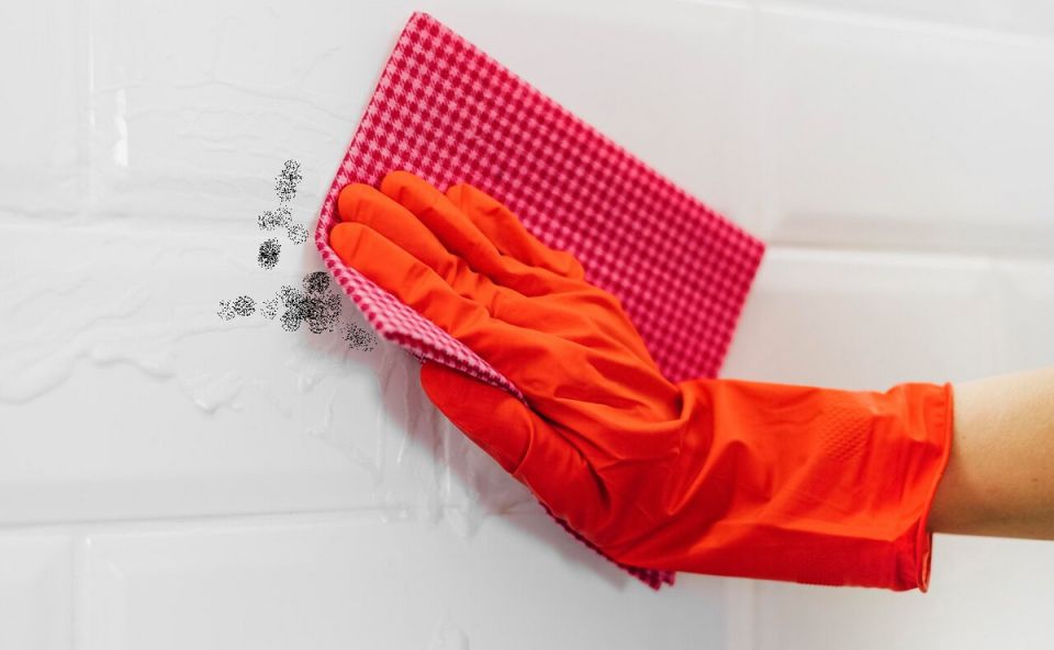 Эффективные способы борьбы с плесенью и грибком в вашем доме