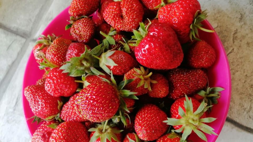 Как августовская пересадка клубники повысила урожай на 80%