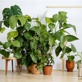 ���������� � ��� �������� ��������� ��������