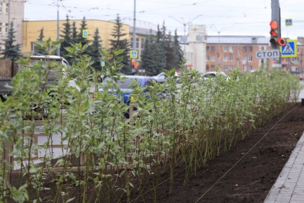 ����� ������ ������� �������� ���������� ������ �������� ��� - ����� ��������� �������� ������� �� 2036 ����