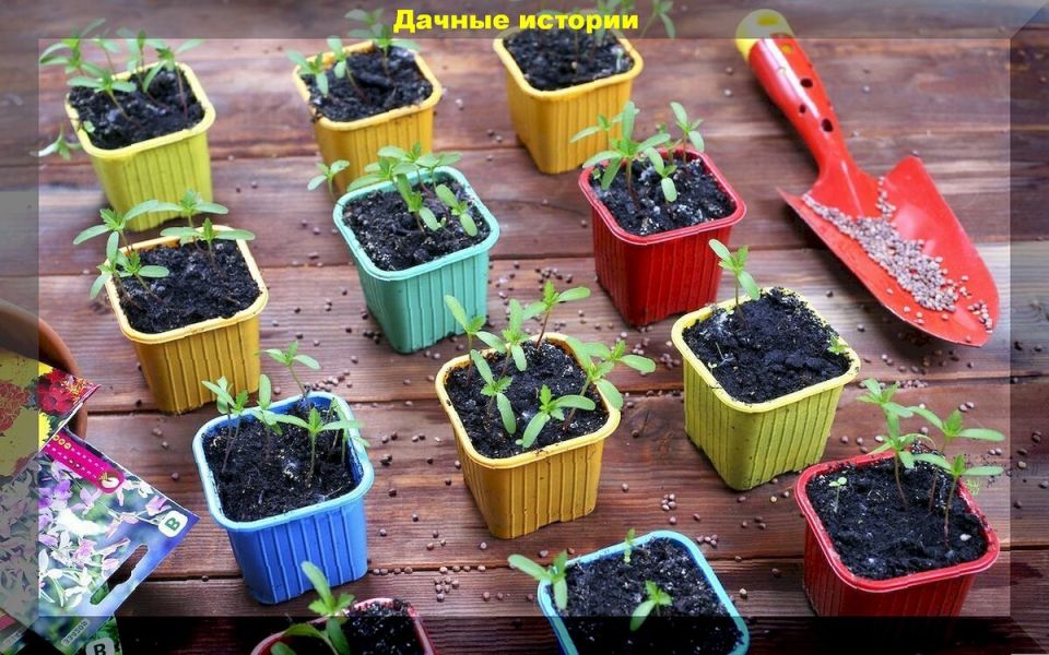 ������� ��������� ������: 13 �������� � ������� � �� ������������ ������