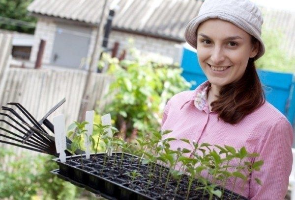 Стимуляторы роста для семян: самодельные рецепты