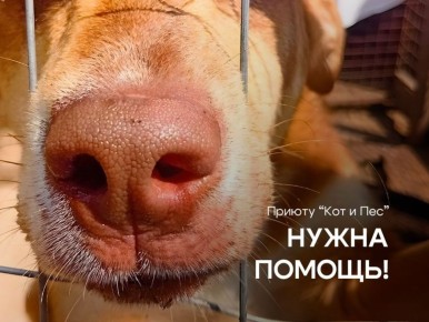 � ������� ���� ����������������� ���� ��� ������ ������ ���� � ���