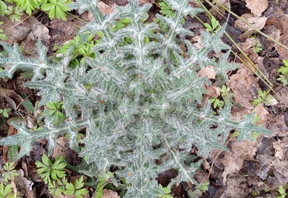 ����������: �������� ������ � ����� �������� � ������������ ����������