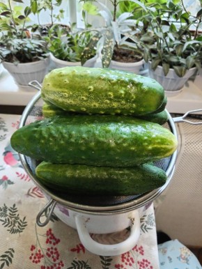 ����������� ����� "������ ������": ��������� �� ����