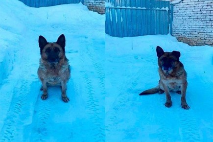 ���� ��������� ����� �� ���� �2 � ������� ��������� ��� ������� � ����� �� ������ ������